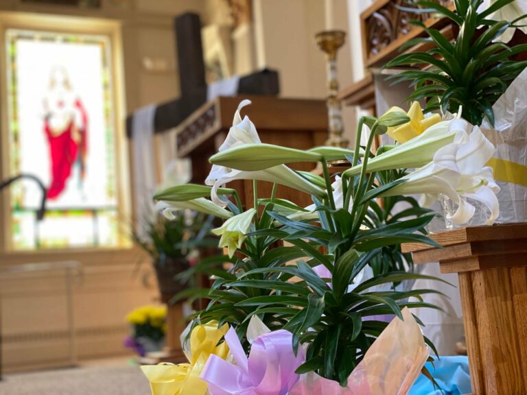 Christ The King Catholic Church FiveStarACC